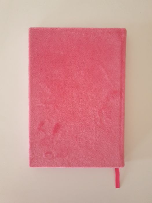 Diário/caderno novo