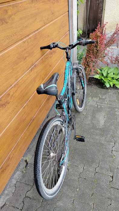 Rower Rayon Adventure