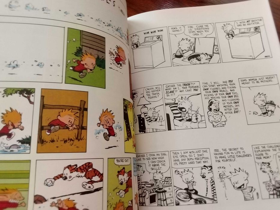 Bill Watterson - The indispensable Calvin and Hobbes