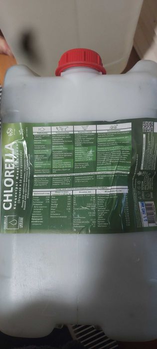 CHLORELLA концентрат живої хлорели