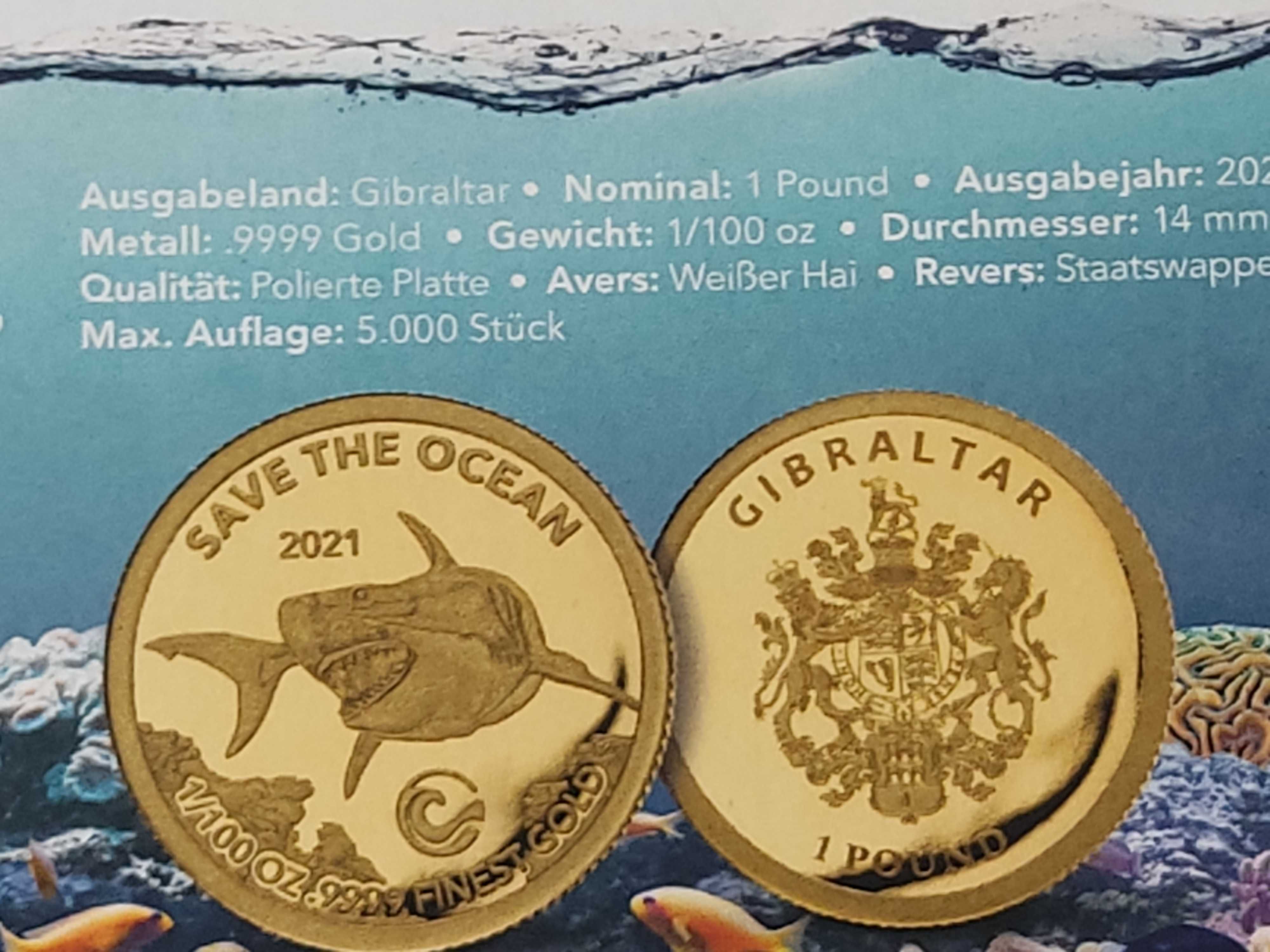 Rekin Biały- 2021- Gibraltar