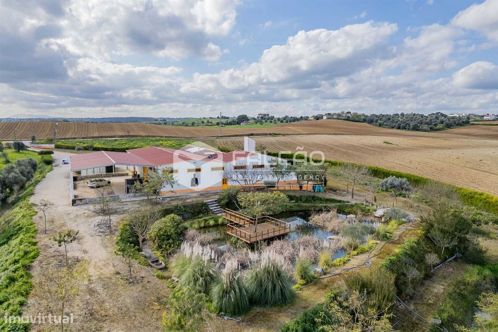 Fábrica/Indústria  Venda em Achete, Azoia de Baixo e Póvoa de Santarém