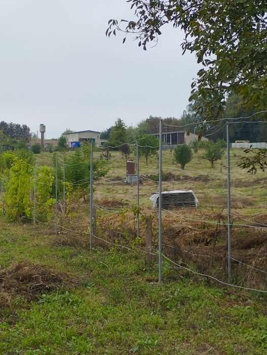 Продам будинок в селі Дермань 3.5га