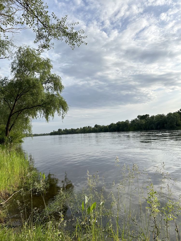 Оренда будиночків Десна с.Літки