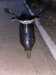 Продаю. Honda dio AF-27