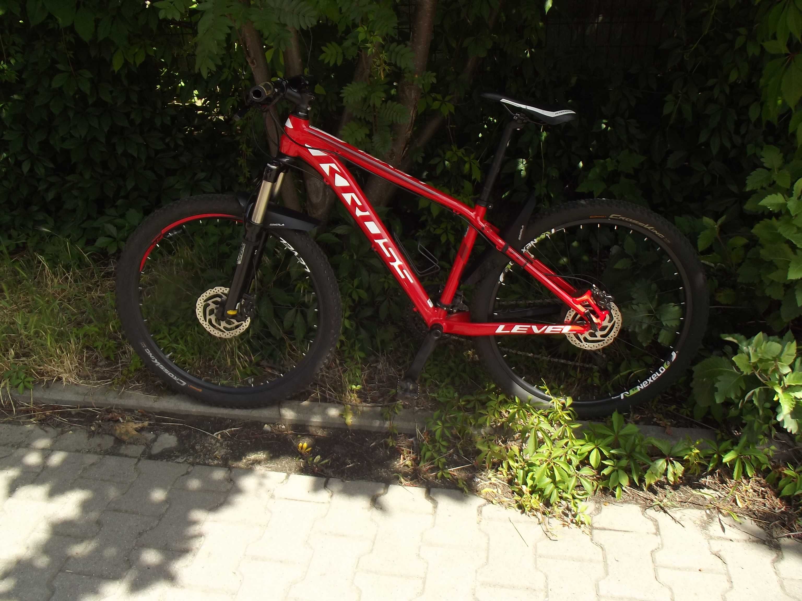 Rower KROSS Level Team Edition Replica