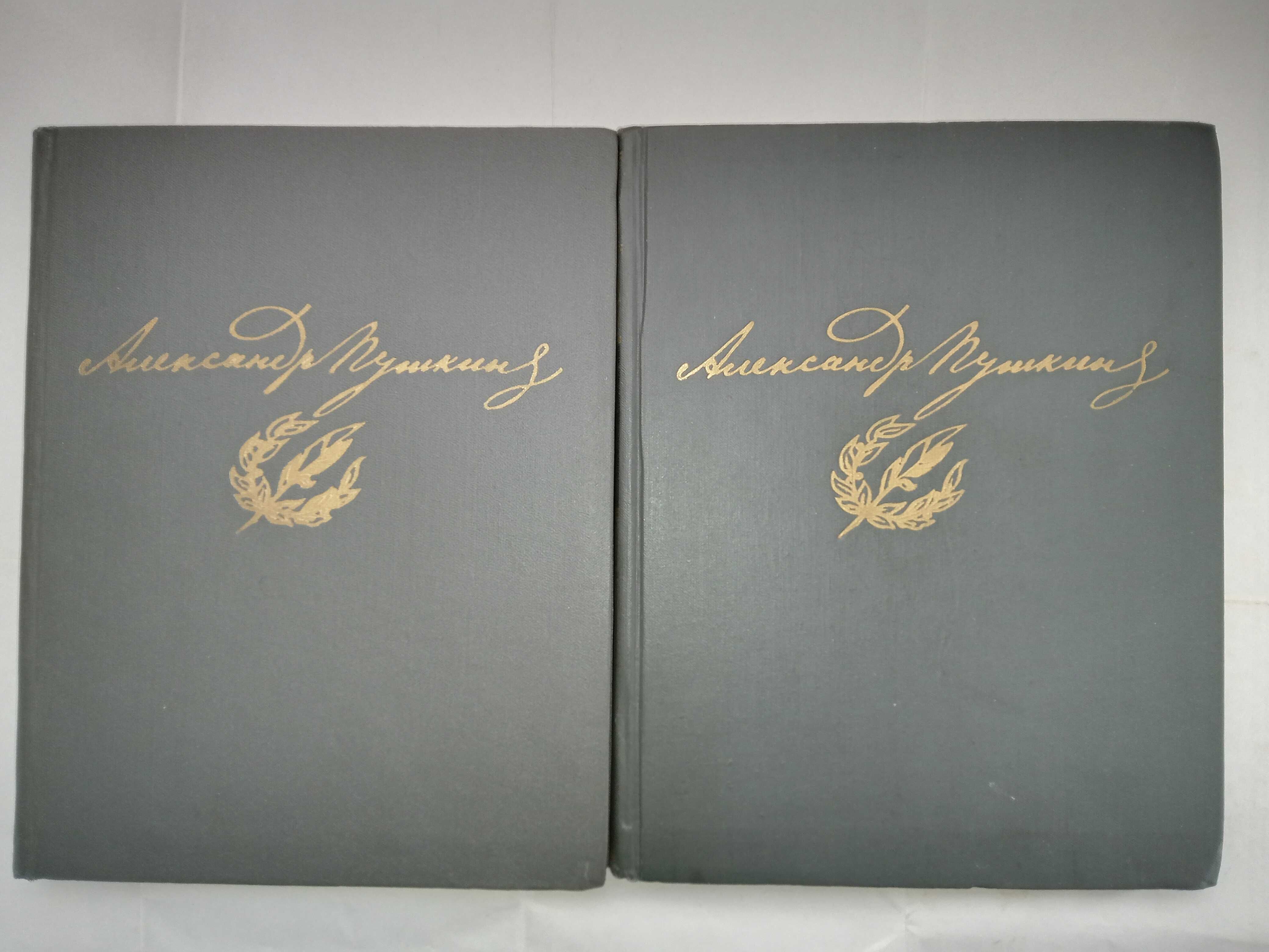 Пушкин А.С. Сочинения в 2 томах 1982г