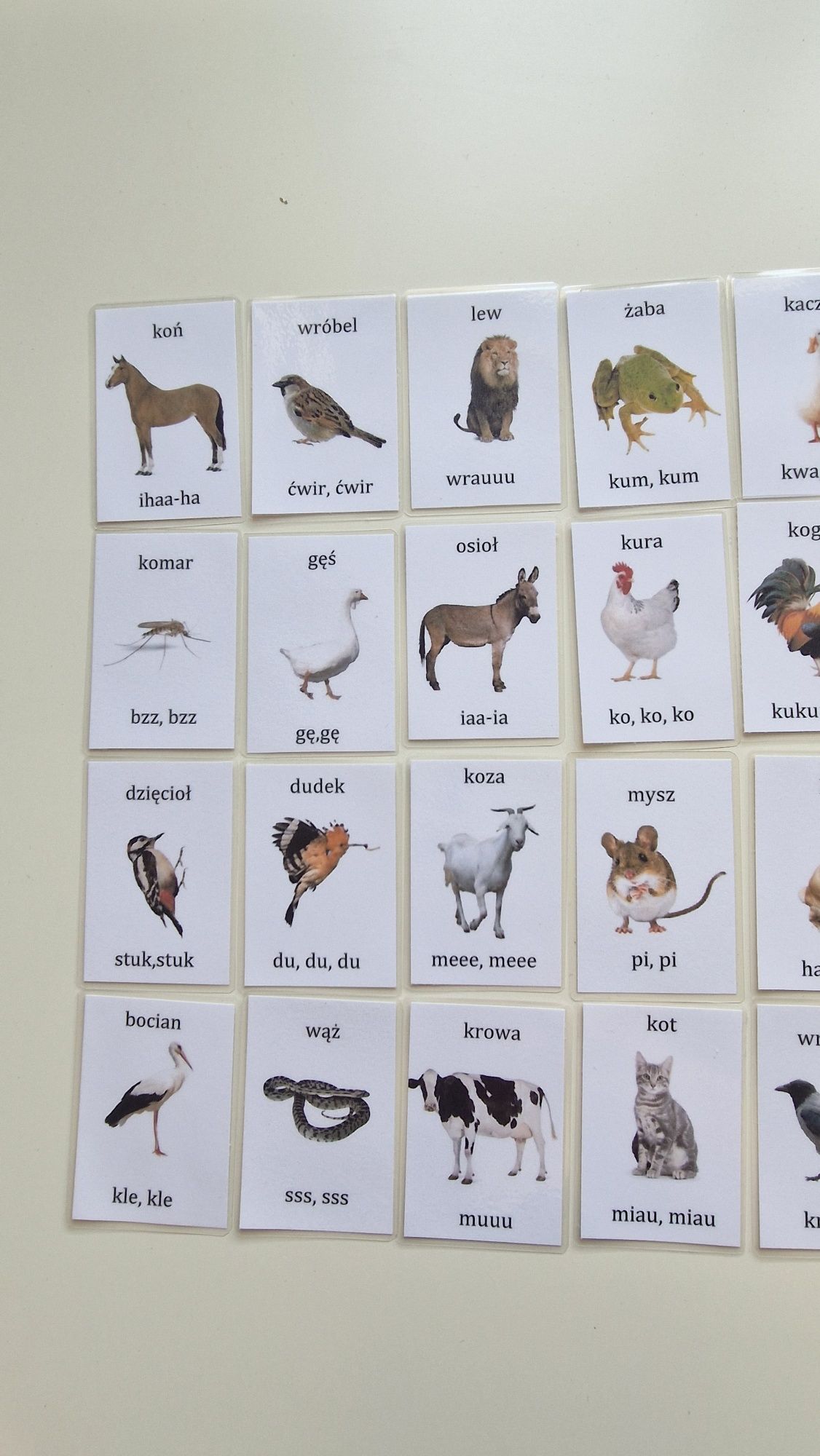 Karty dzwiękonasladowcze karty obrazkowe zwierzęta lamibook