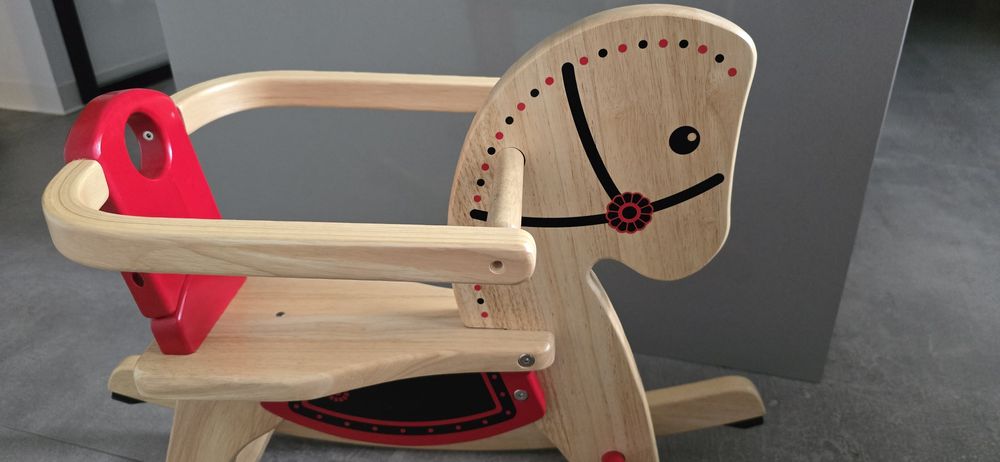 Konik na biegunach Pintoy Ideał