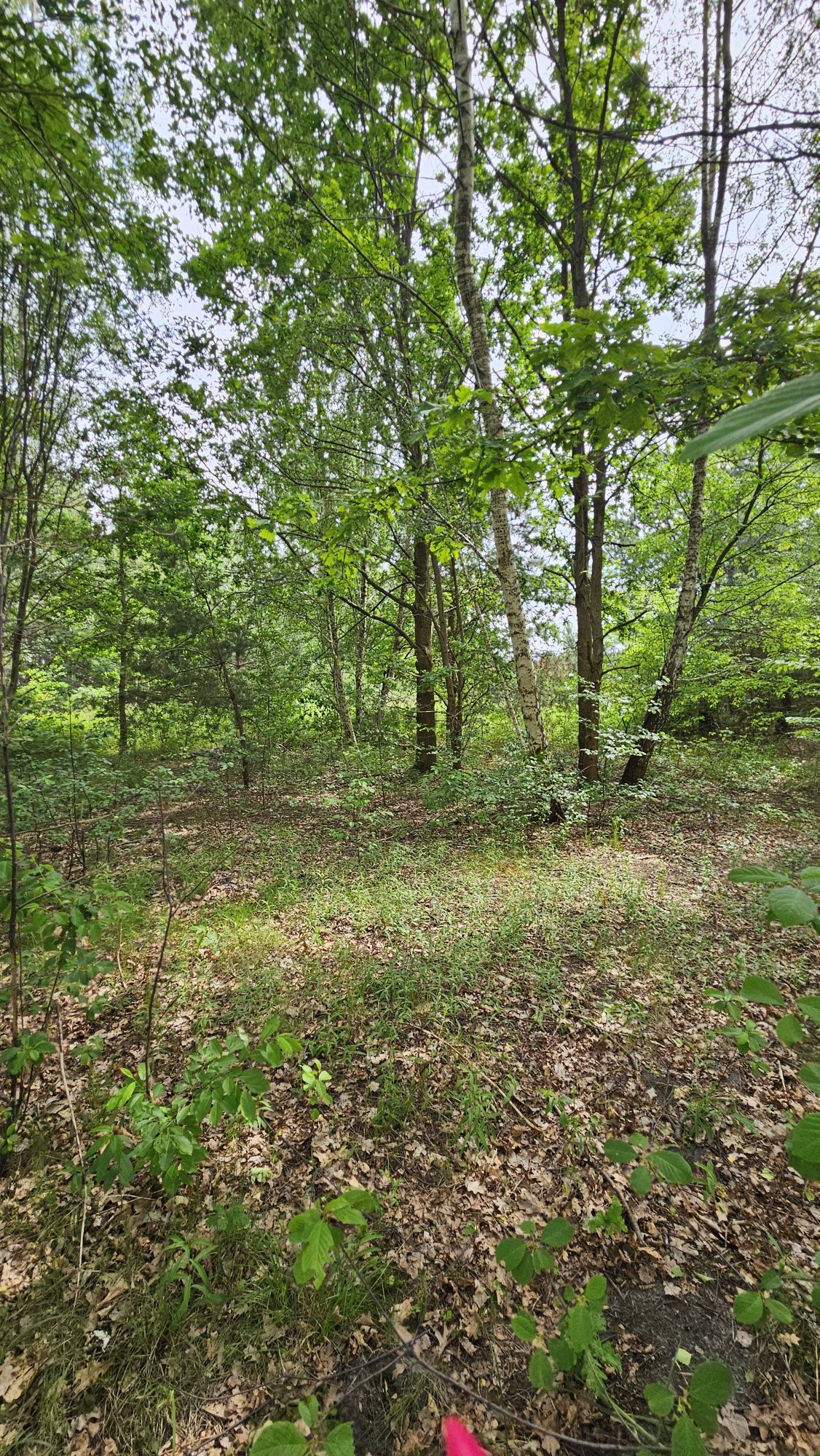 Działka budowlana inwestycyjna CISIE gmina Halinów 3400m2