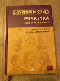 Psychoterapia praktyka podręcznik akademicki Lidia Grzesiuk