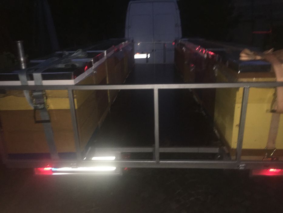 Продам бджоло пакети! 2025рік. Бджола карніка, матки ф 1