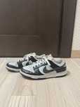 кросівки NIKE DUNK LOW 41-42р