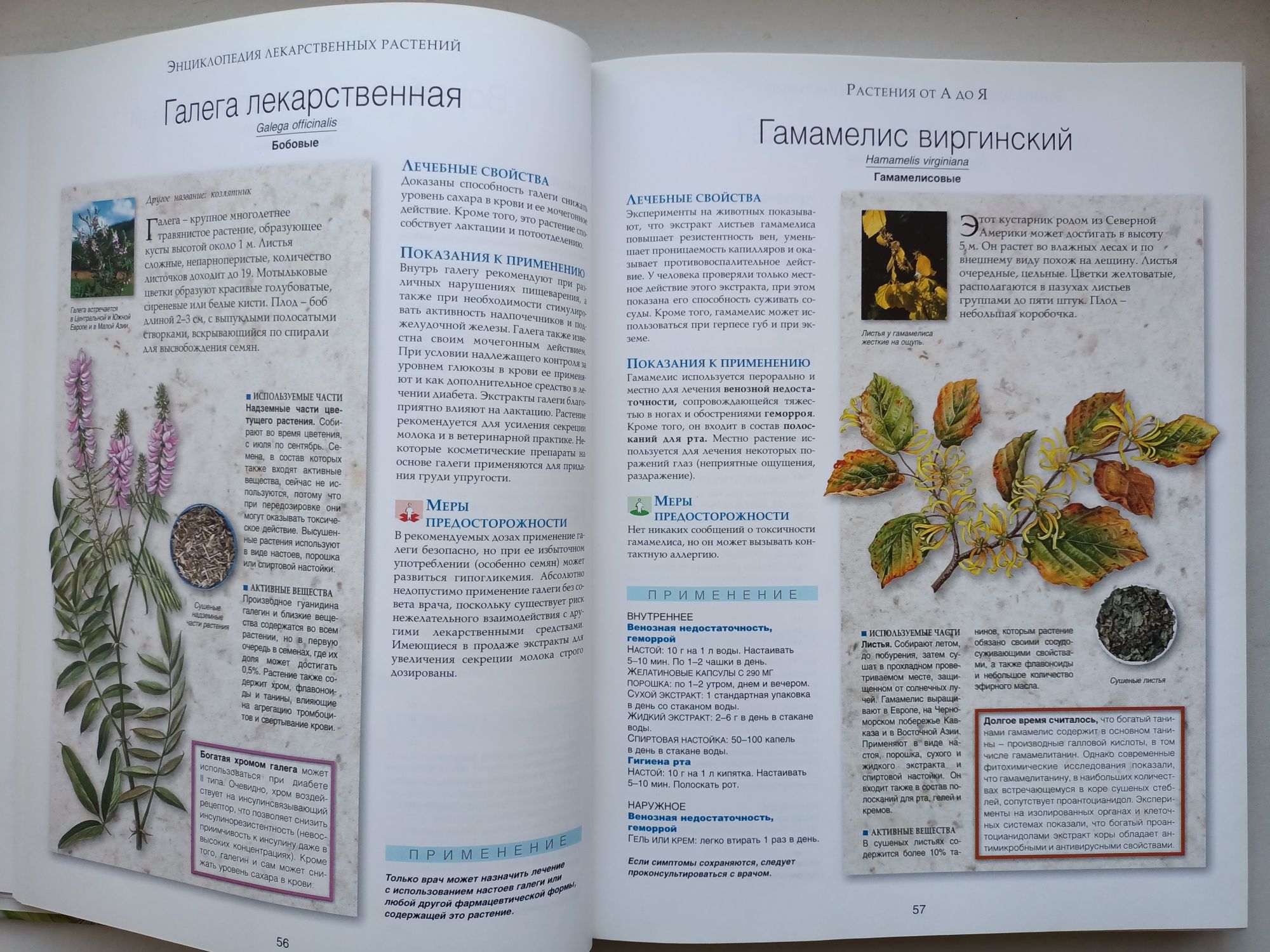 Энциклопедия лекарственных растений