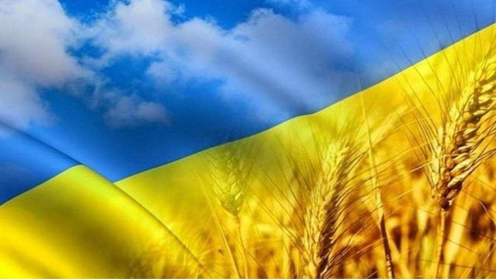 Репетитор з історії| Підготовка до НМТ з історії