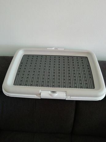 Comedouro Automático para cão ou é oferta de resguardado com rede