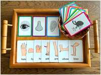 Cartões Partes do Corpo - Montessori