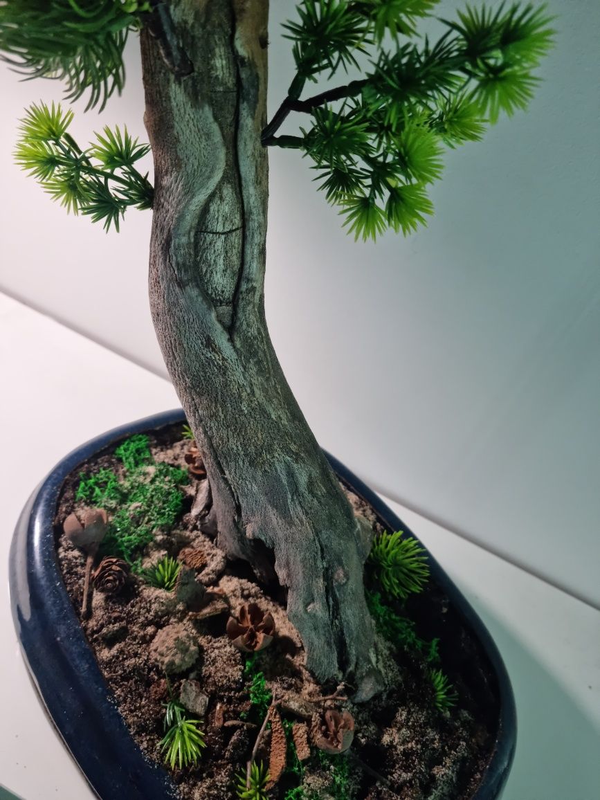 Drzewko   bonsai