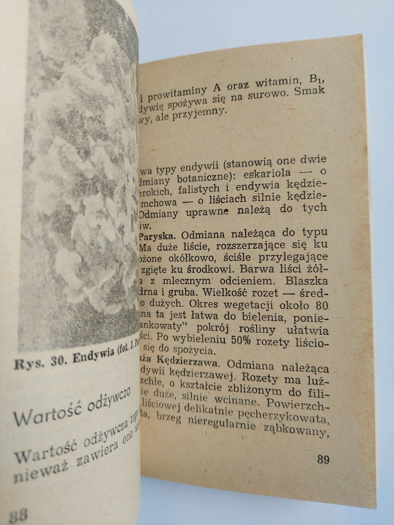 Warzywa liściowe - R.W. Doruchowski