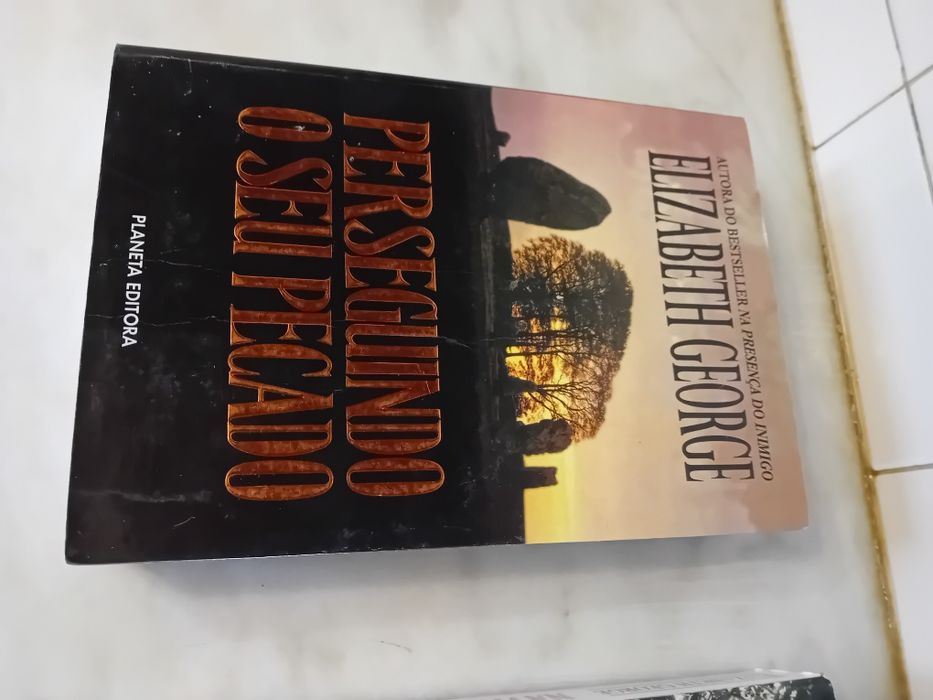 Conjunto de 2 Livros de Elizabeth George