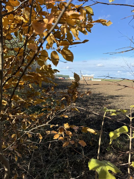 Земельна ділянка 0,8га/Під забудову/4 по 0.2га