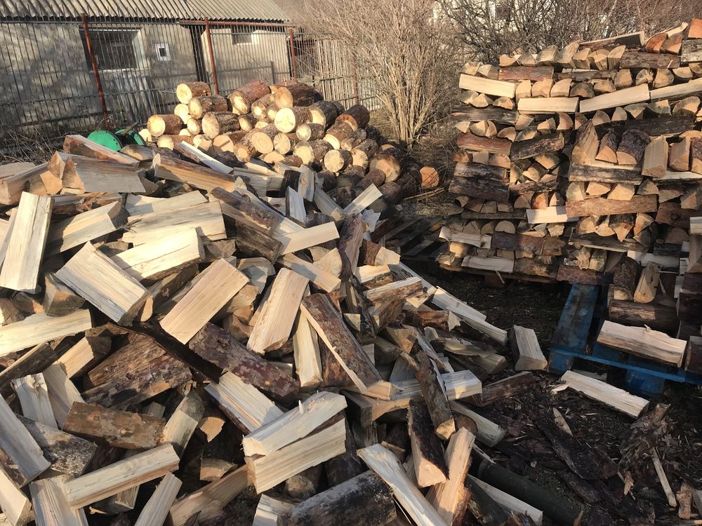 Дрова різних порід з доставкою