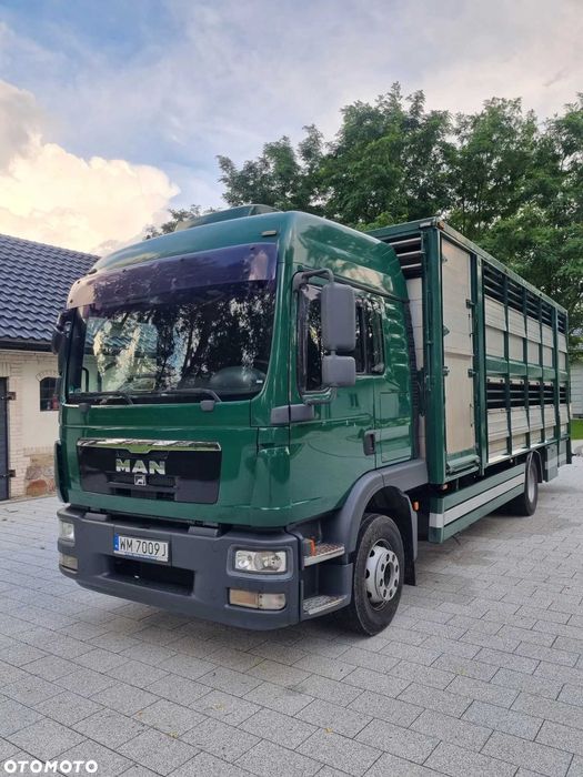 Man TGM 15.290 Do Żywca