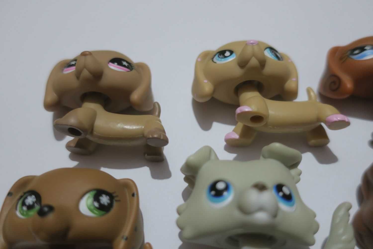 Jamnik spaniel collie Littlest Pet Shop lps