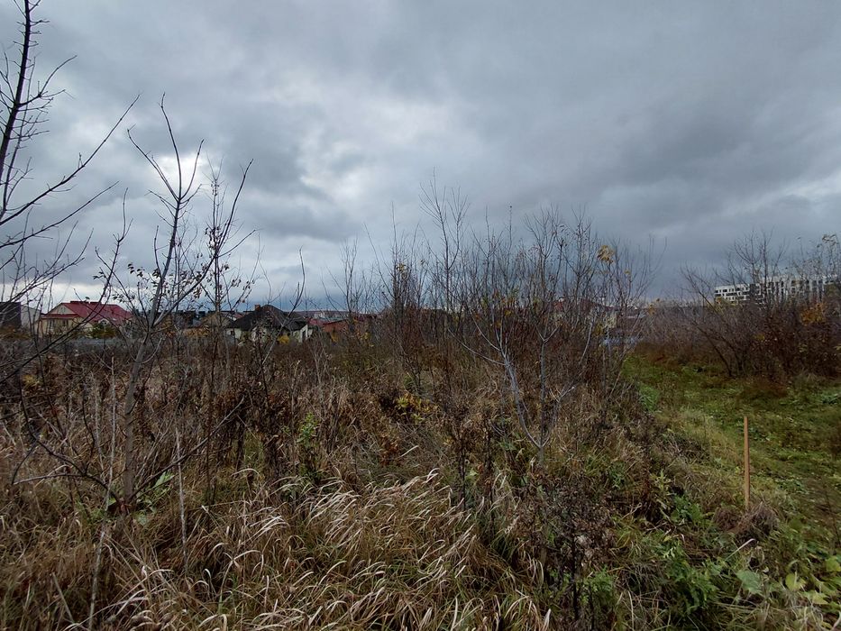 Продається земельна ділянка кленовий гай