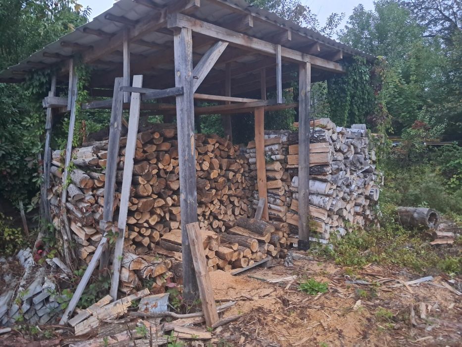 SUCHA BRZOZA  drewno kominkowe