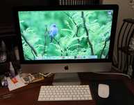 Apple iMac 21.5" 2017 32GB Ram e 2TB SSD