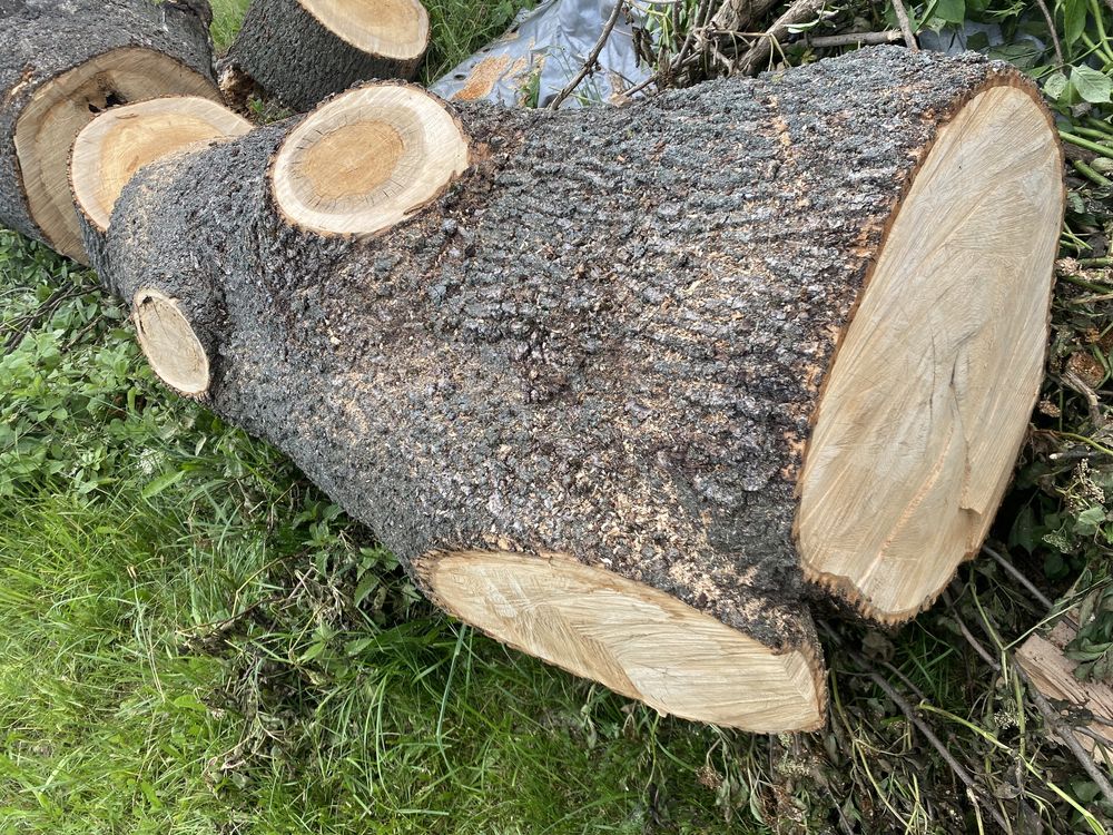 Sprzedam jesion na materiał blat stół deski