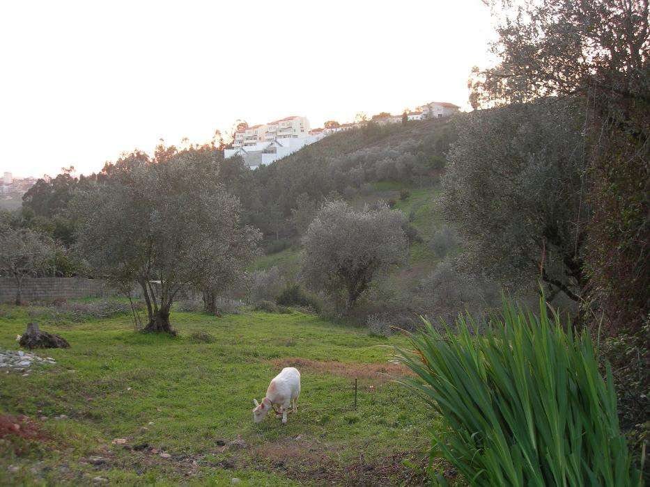 Vendo terreno urbano junto à Solum, Coimbra, para construção.