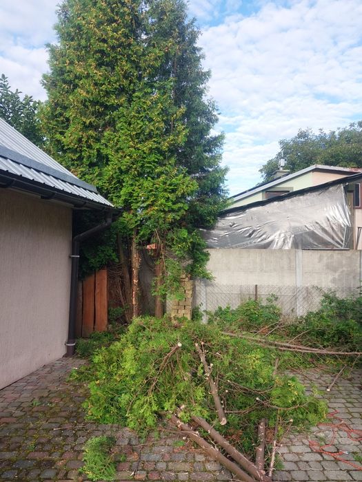 Usługi budowlane ogrodnicze, prace ziemne, wycinka drzew/krzaków rębak