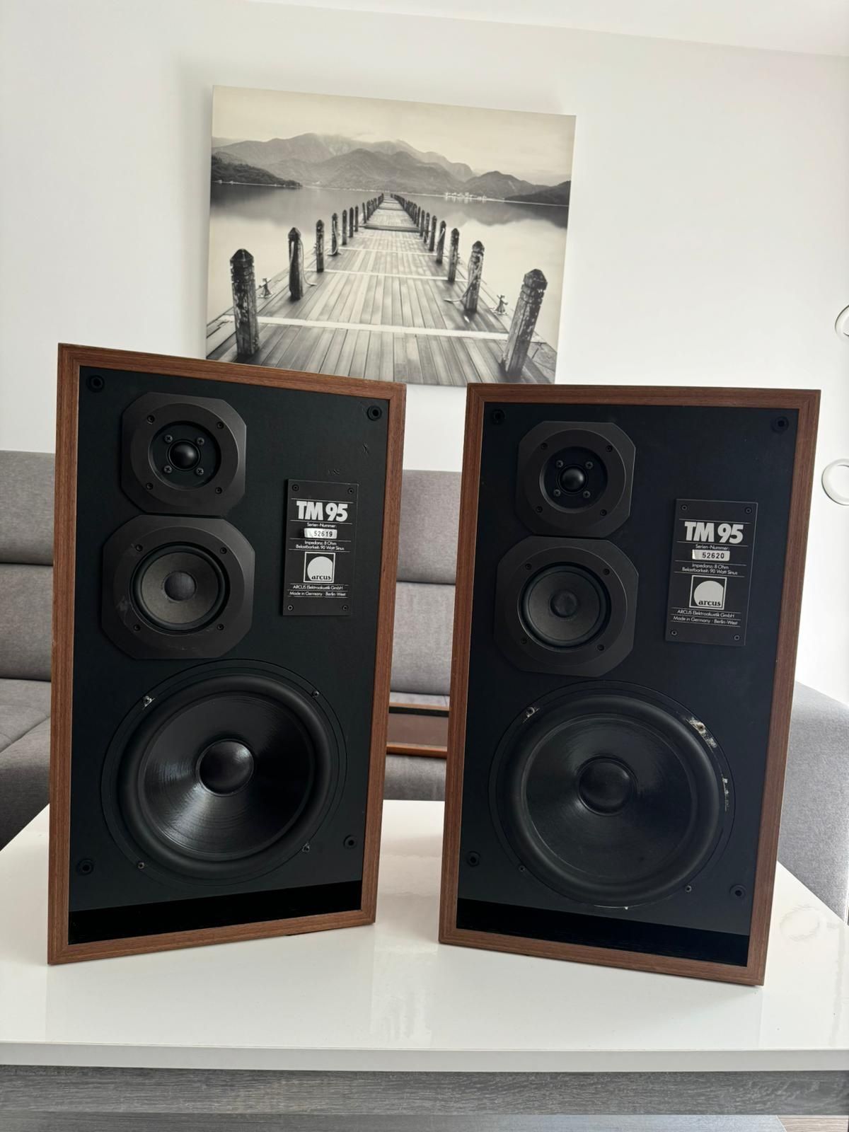 Kolumny Arcus TM 95 Vifa Seas
