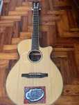 Guitarra Ibanez AEG10NⅡ