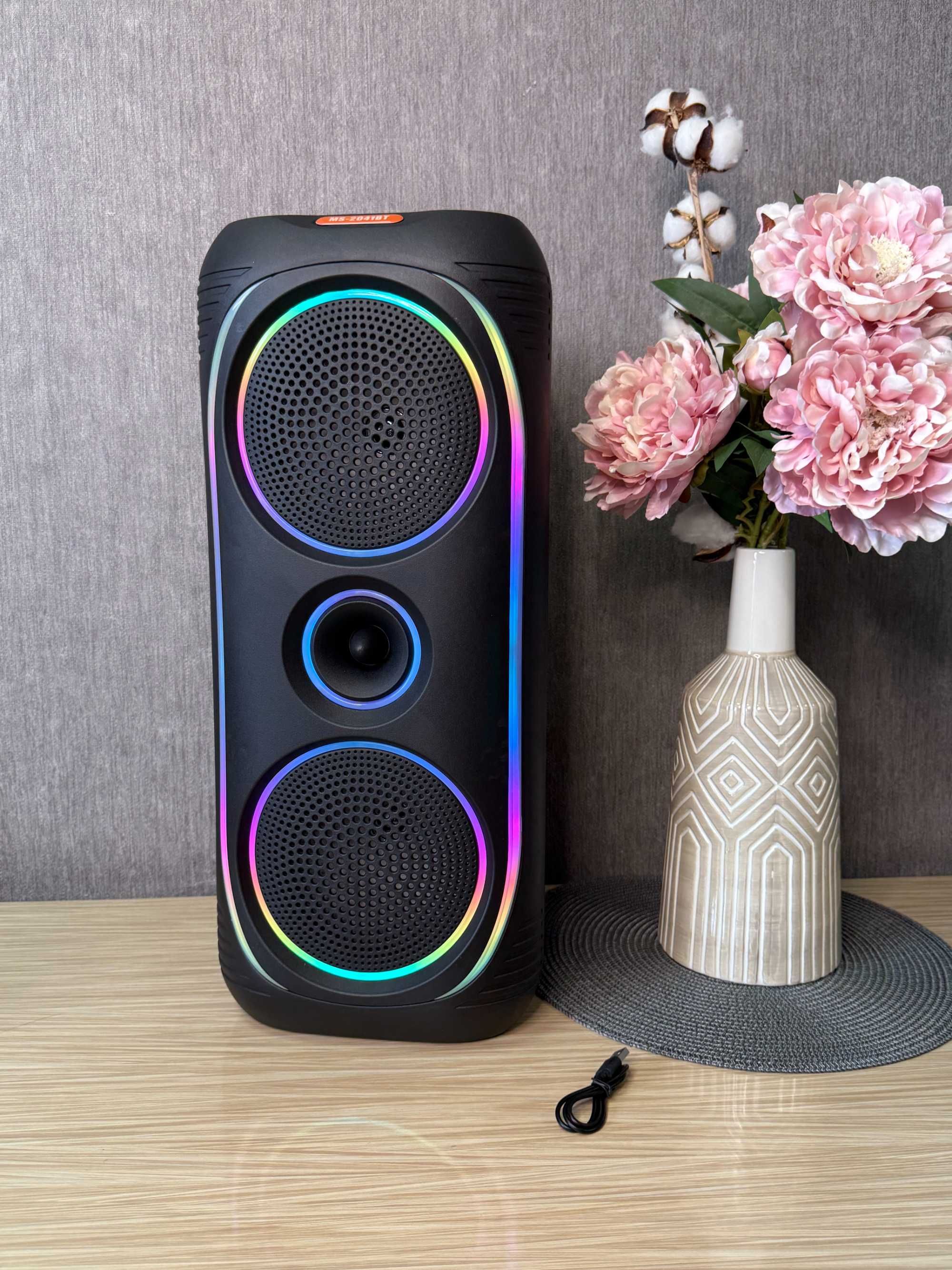Портативная акустика 50 Вт — колонка-чемодан с Bluetooth, FM-радио