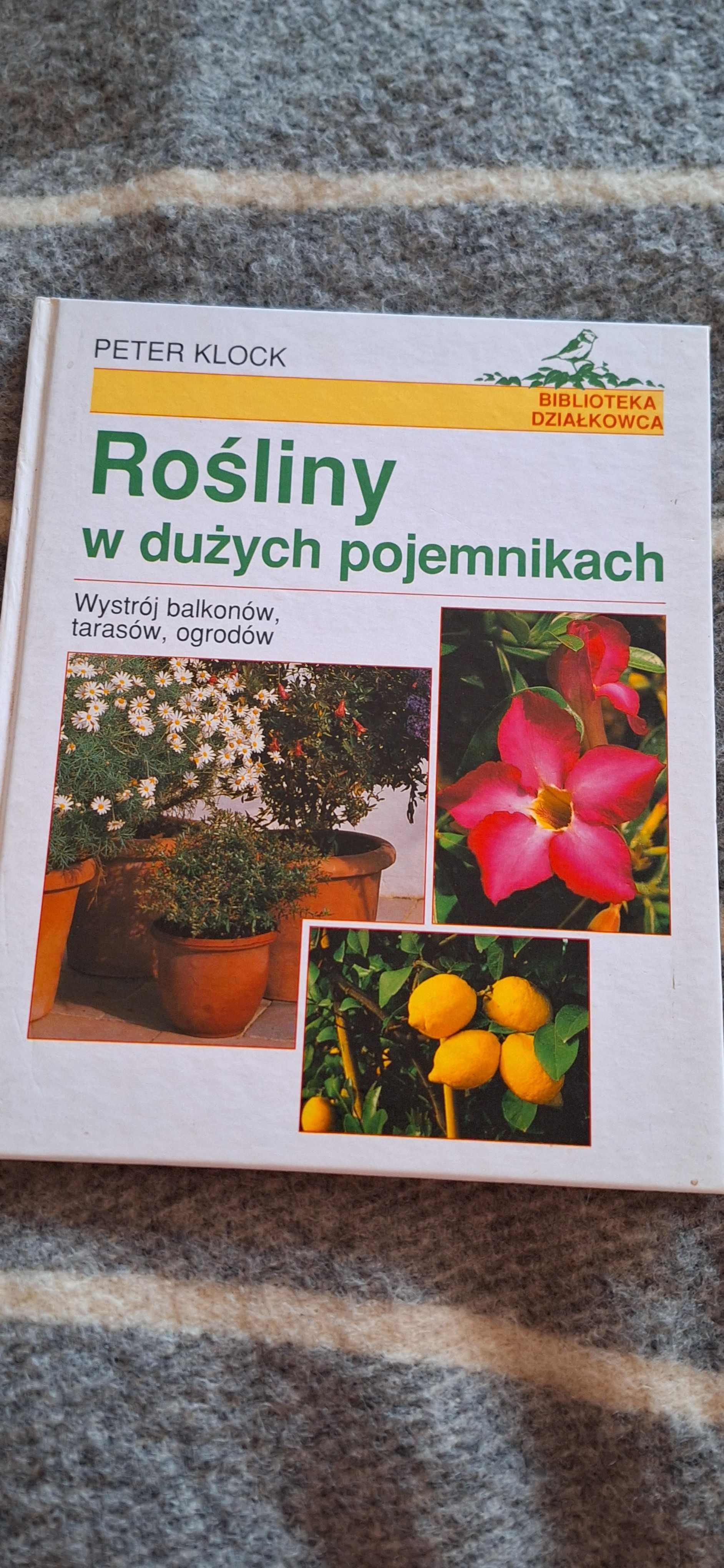 Rośliny w dużych pojemnikach - Peter Klock