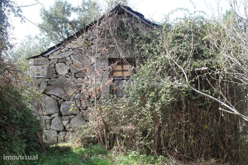 Terreno / Cinfães, Fornelos