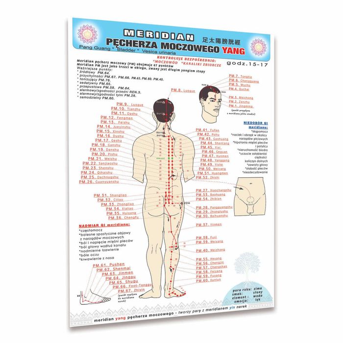 plakat Meridiany w formacie A3