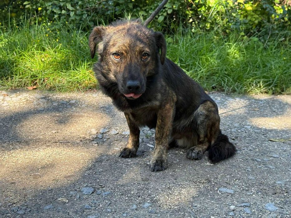 Daj szansę i dom Filipowi