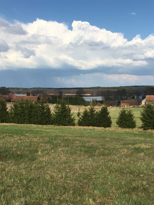 Piękna działka (1 hektar ) nad Jeziorem Małszewskim