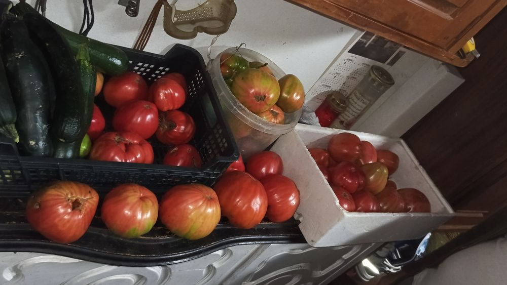 Abóbora,cebolas e tomates