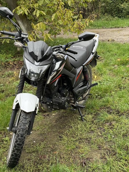 Musstang fortuna 200