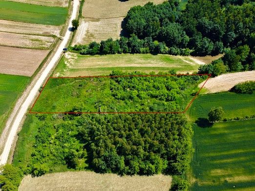 Działka Pałecznica- Proszowice