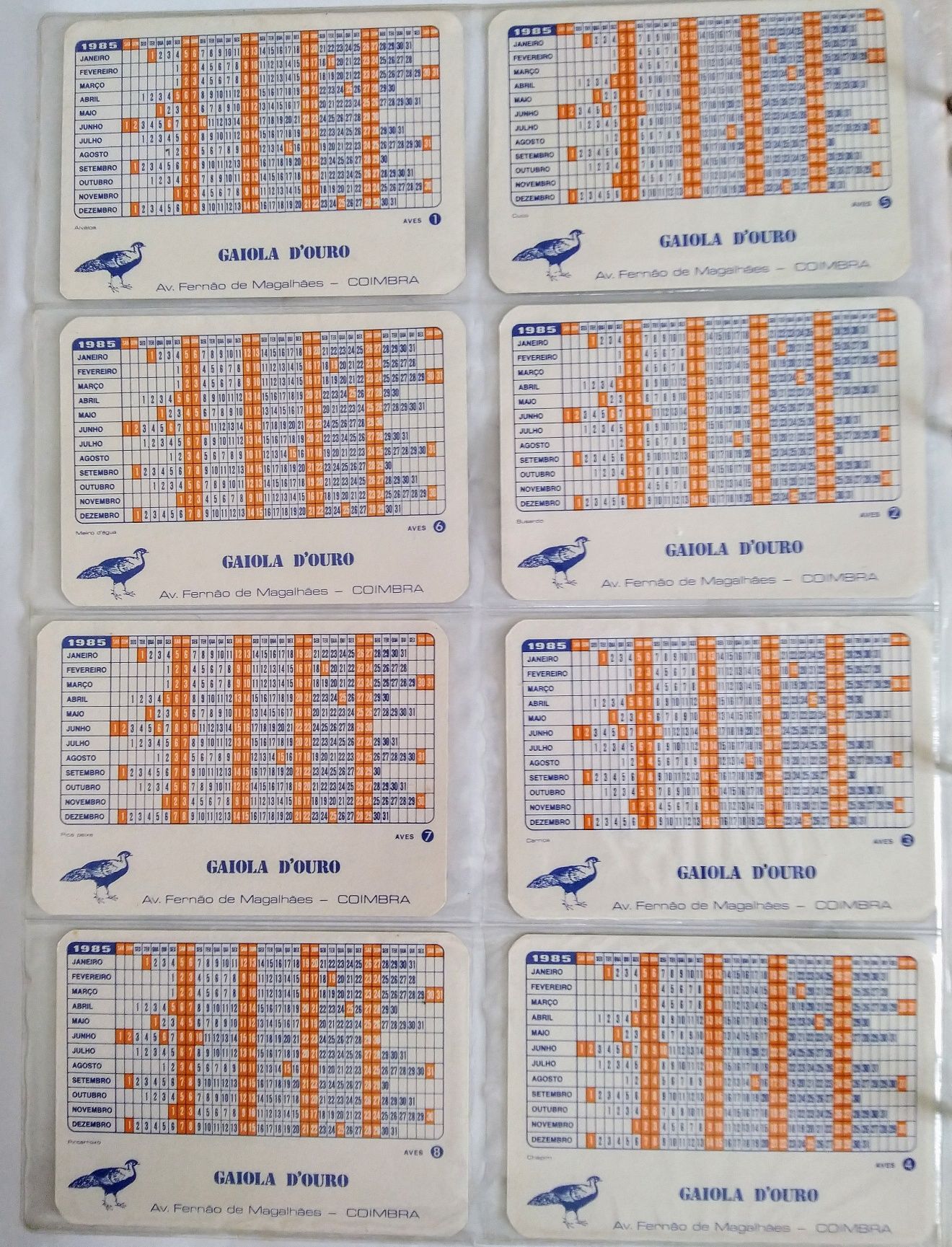 Coleção calendário de 8 Aves, da Gaiola D'Ouro, 1985