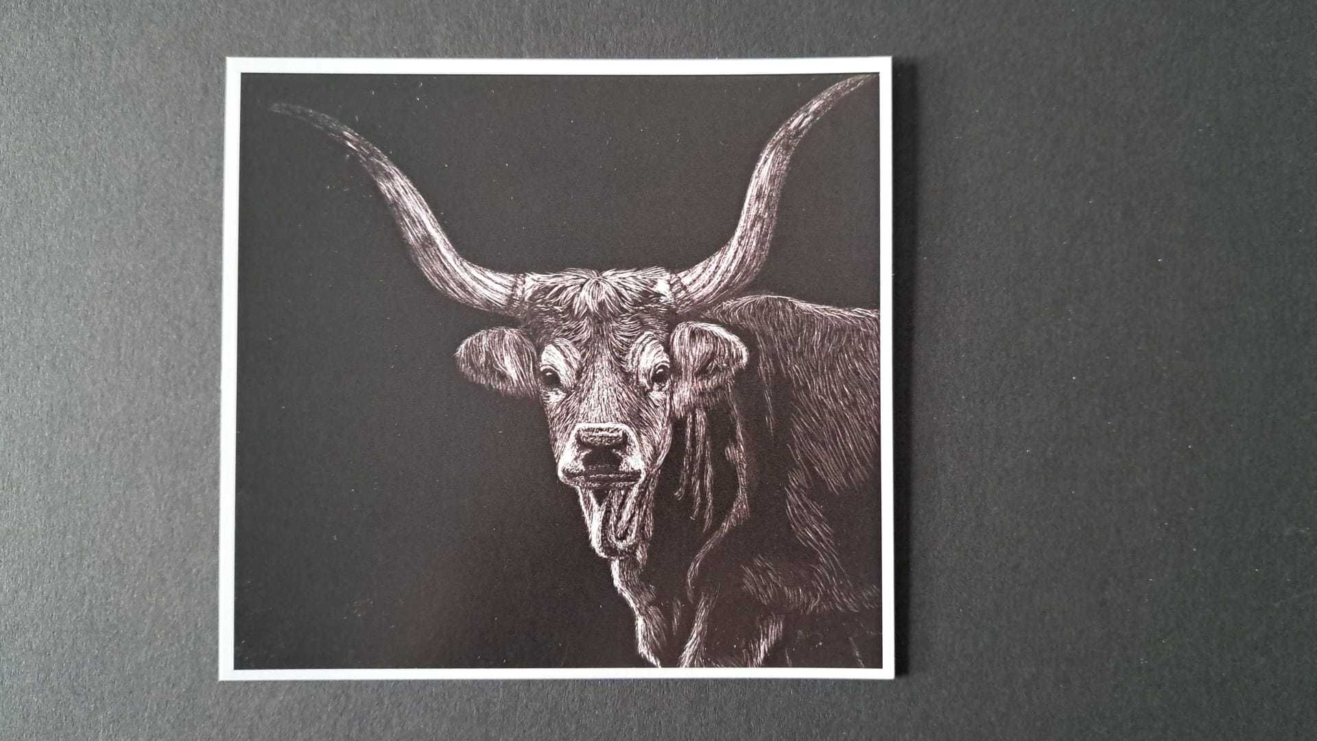 Postal de desenho de vaca cachena Soajo tradições Norte de Portugal