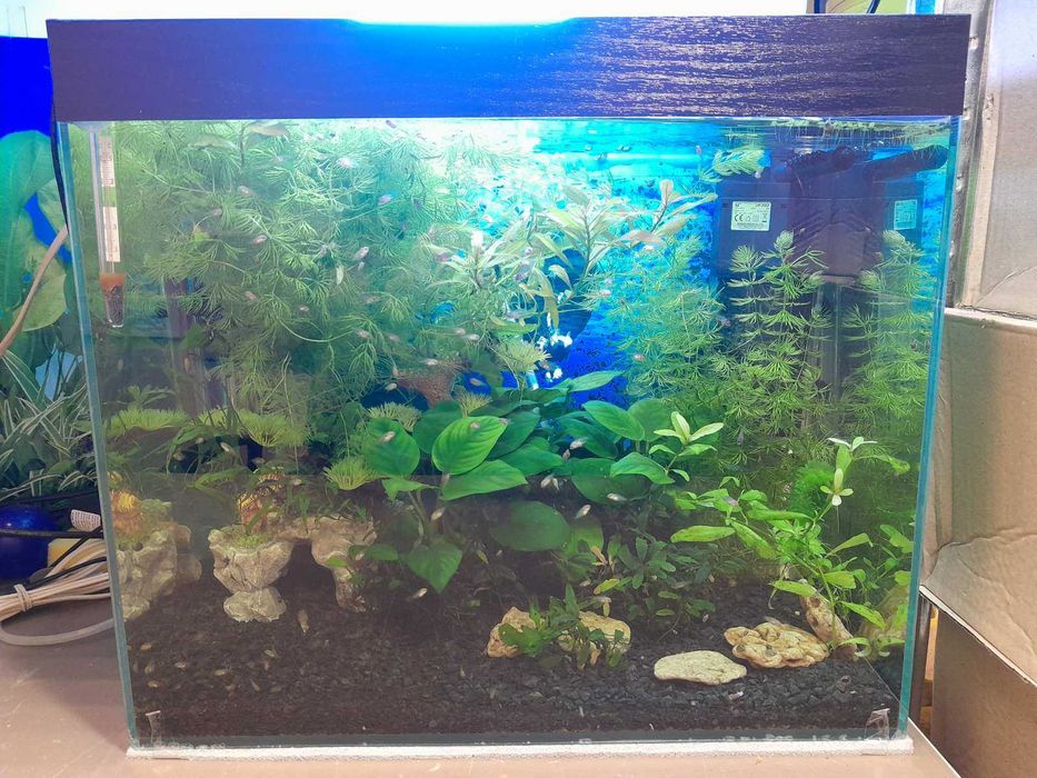 Продам акваріум в зборі Аквакомплект