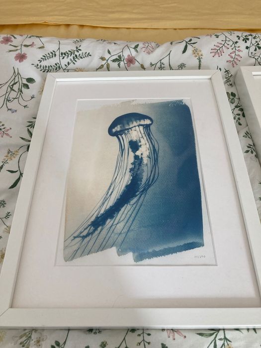 Quadros Kind of Cyan