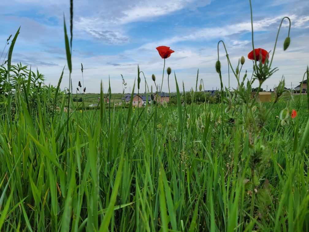 Продаж ділянки під житлову забудову в с. Біла 17 соток